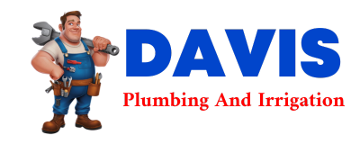 Trusted plumber in PADRONI